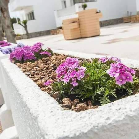 Апарт-отель Naranjos Menorca 4*