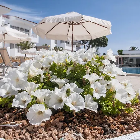 アパートホテル Naranjos Menorca サルガール