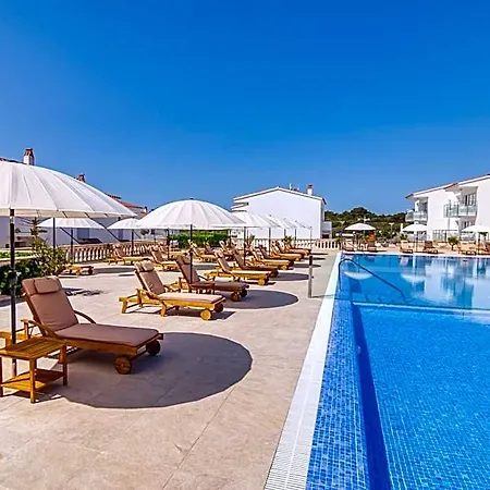 Naranjos Menorca S'Algar
