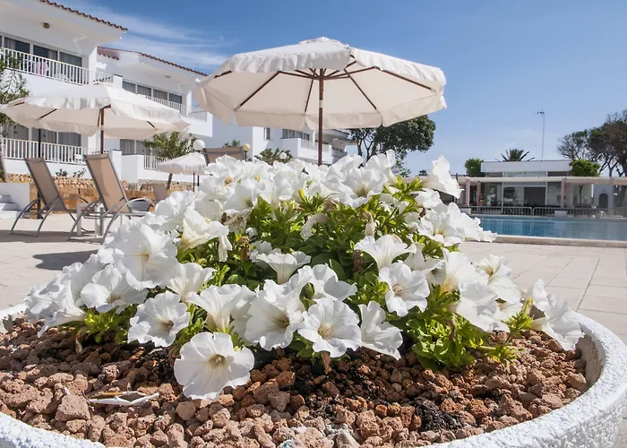 מלון דירות Naranjos Menorca ס'אלגר