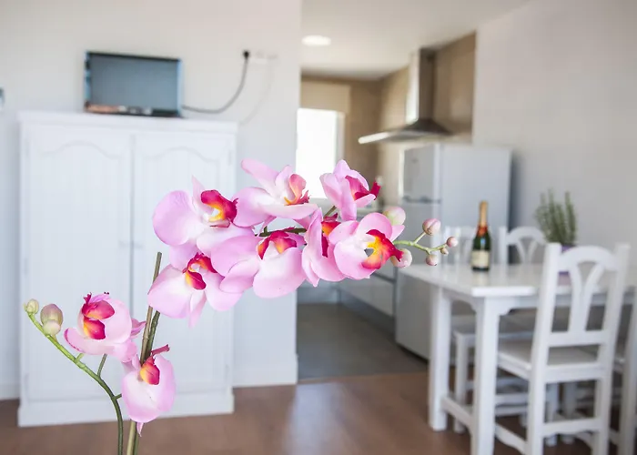 Naranjos Menorca מלון דירות ס'אלגר