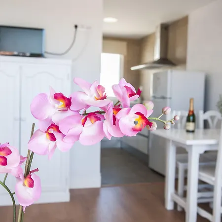 Naranjos Menorca Aparthotel S'Algar