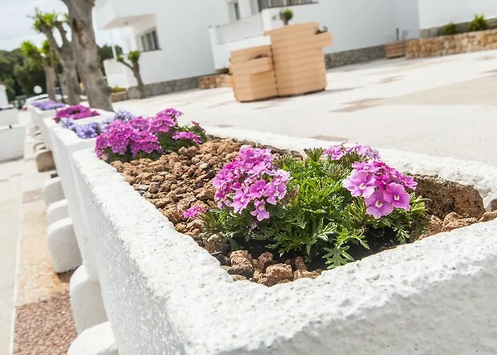 Hotel apartamentowy Naranjos Menorca 4*